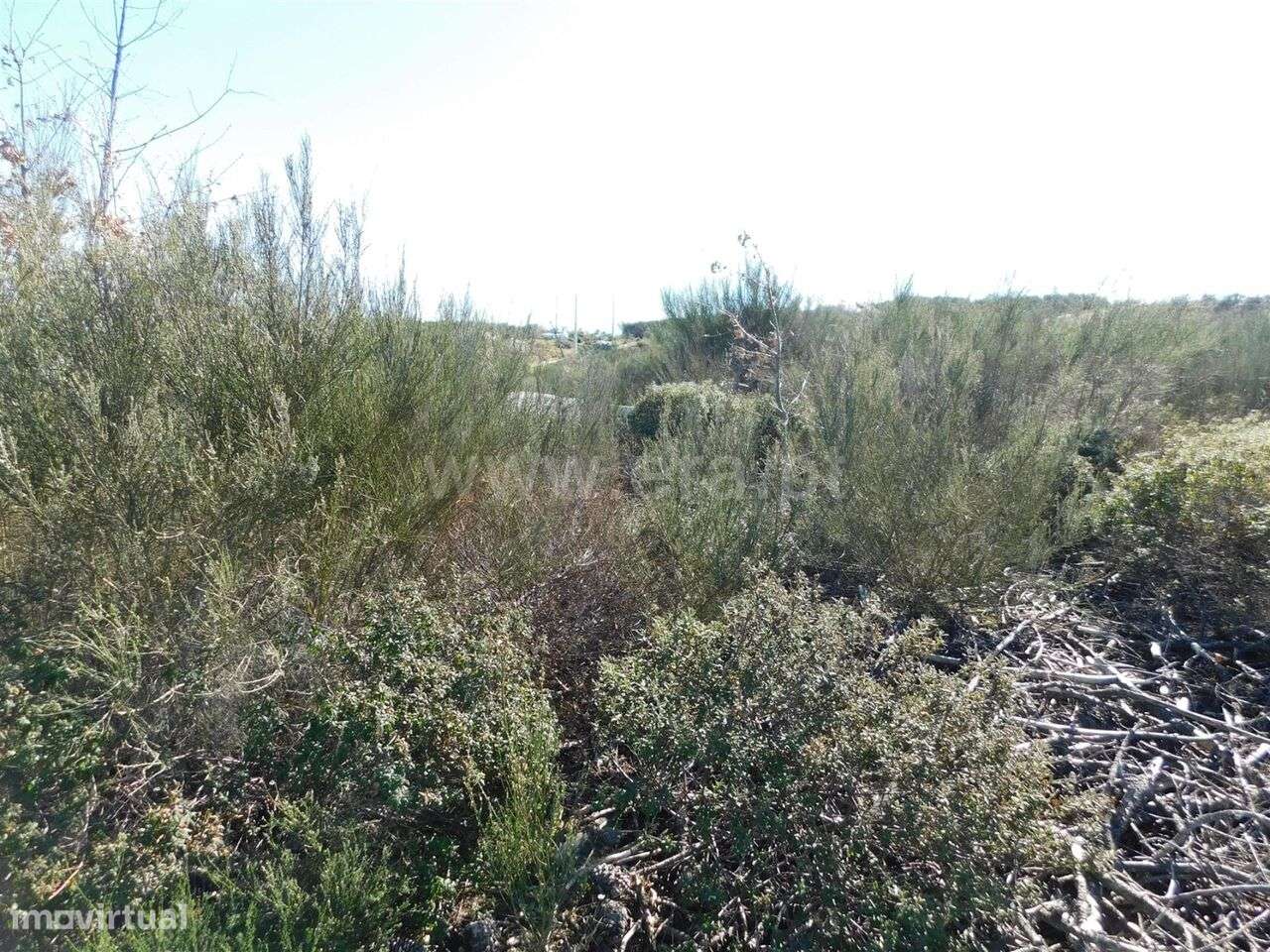 Terreno / Oliveira do Hospital, Meruge - Grande imagem: 3/3