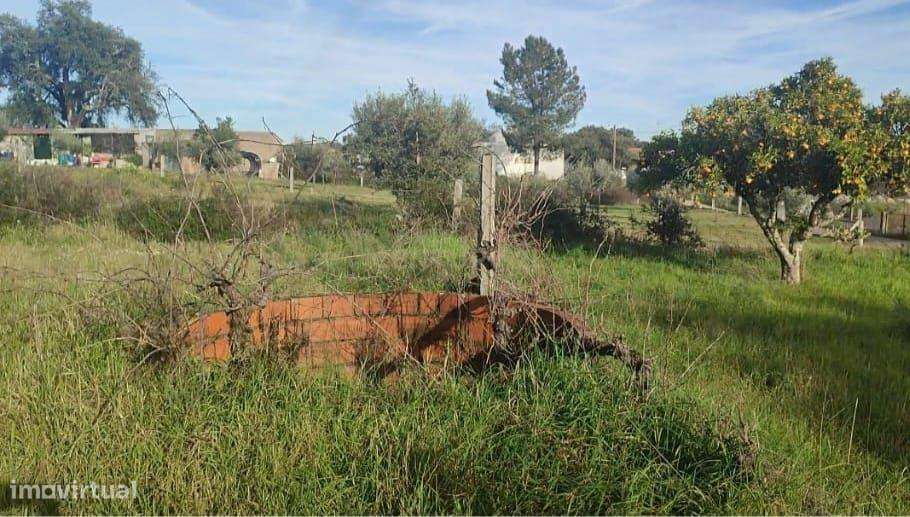 Terreno Rústico, Tinalhas, Castelo Branco - Grande imagem: 2/19