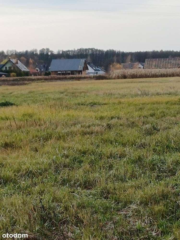 Diałki budowlane - Pełny obrazek: 4/4