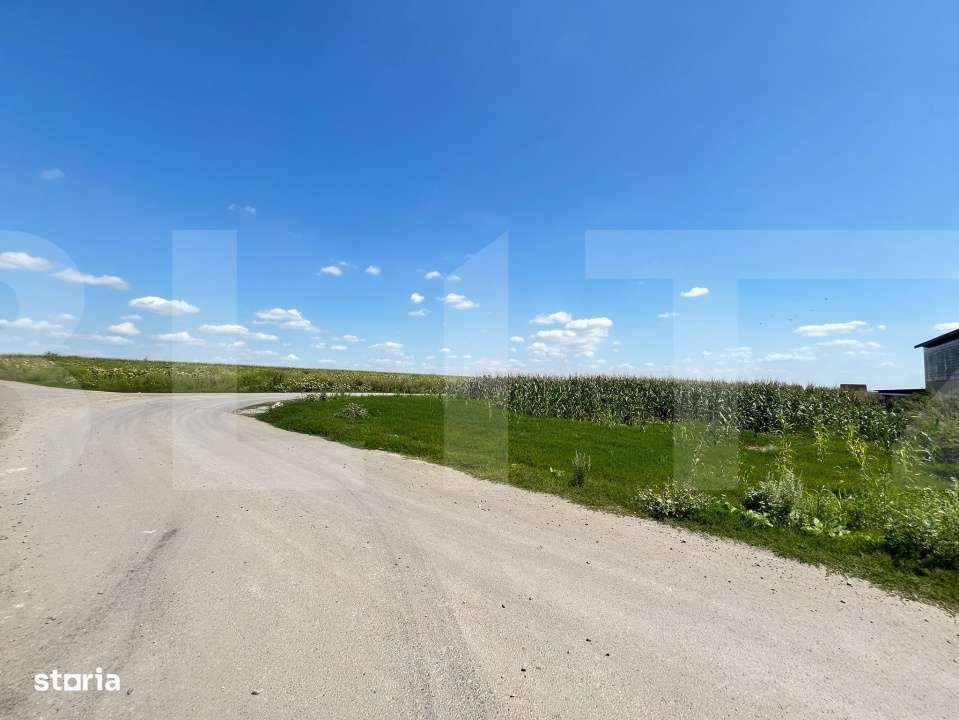 Teren intravilan 3000mp Catamarasti Deal - Imagine principală: 1/1