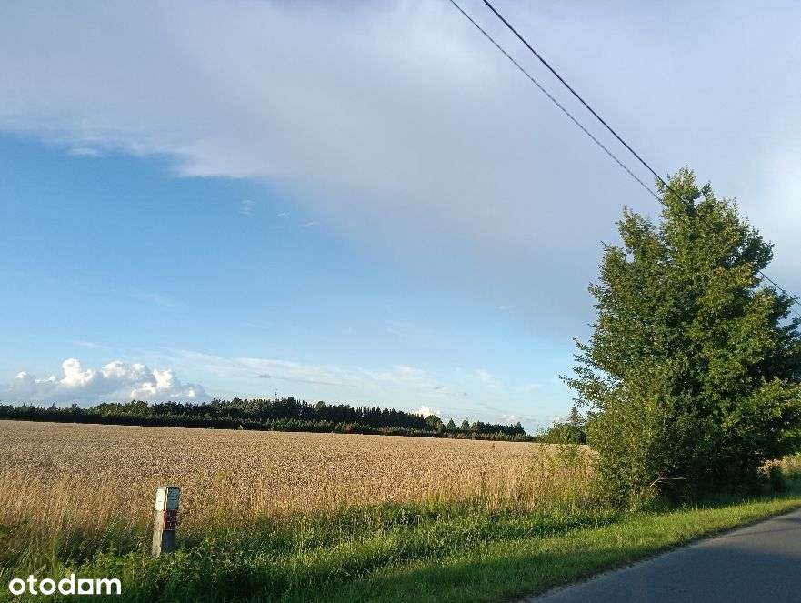 Atrakcyjna Działka W Kłodawie!-1