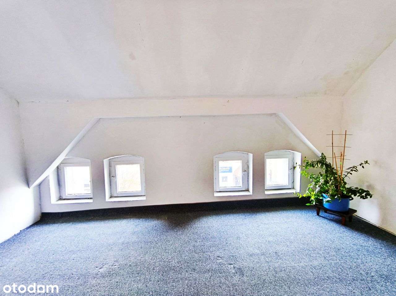 w kamienicy w centrum Olsztynka-7