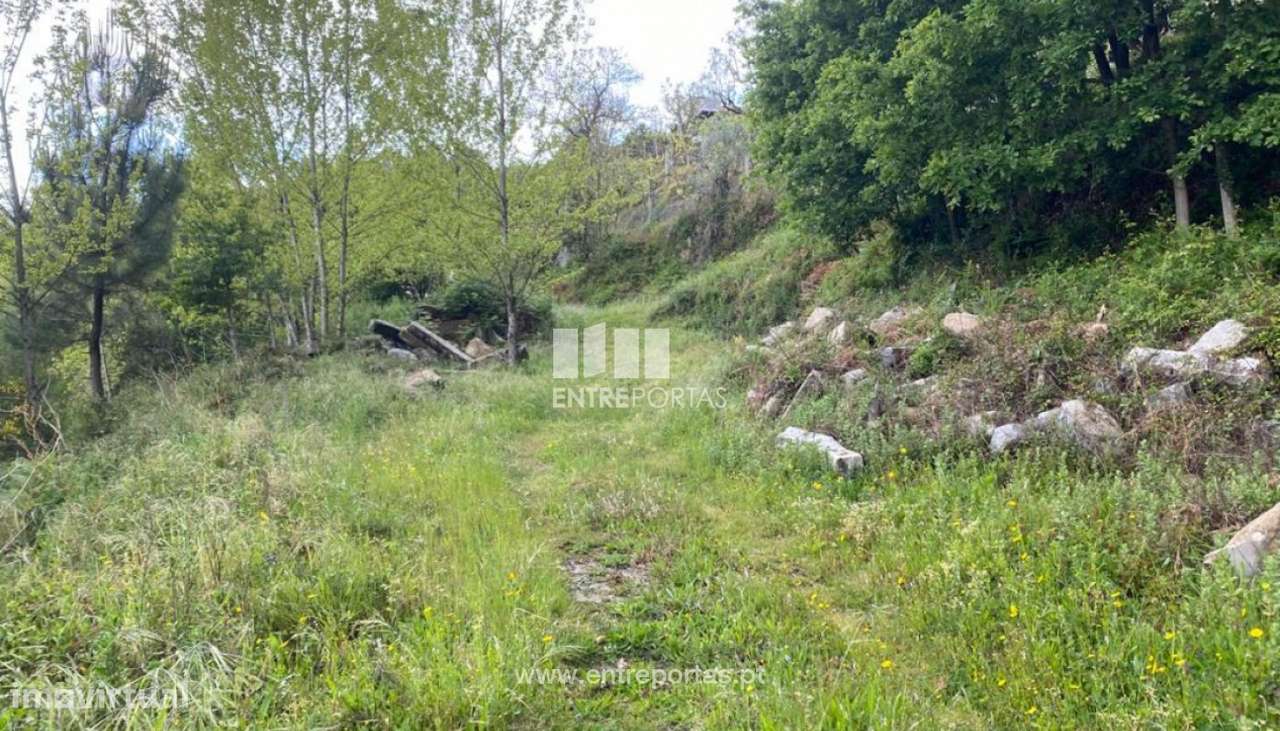 Venda Terreno com área de 8000 m2, São Lourenço do Douro, Marco de - Grande imagem: 5/29