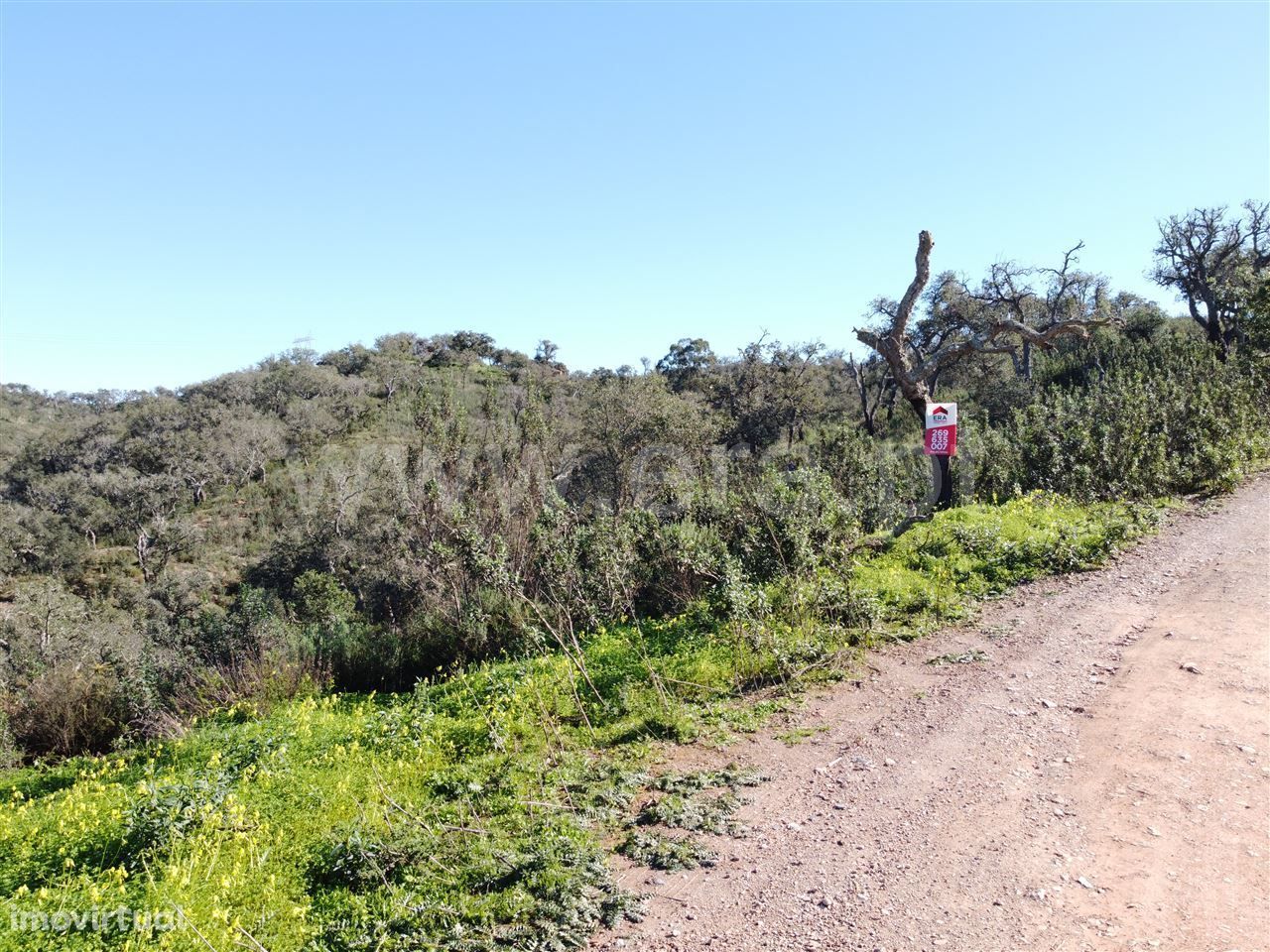 Terreno Rústico 8,5 ha, Sines