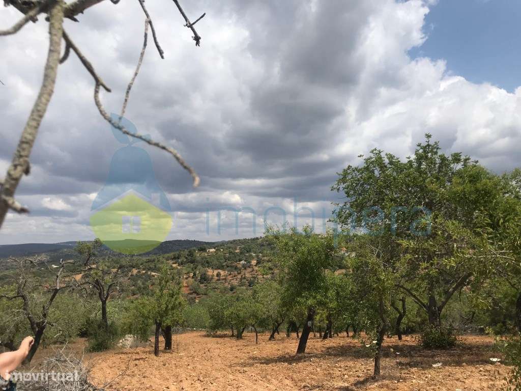 TERRENO RÚSTICO 1800m2 VISTA FANTÁSTICA BOLIQUEIME - Grande imagem: 2/10