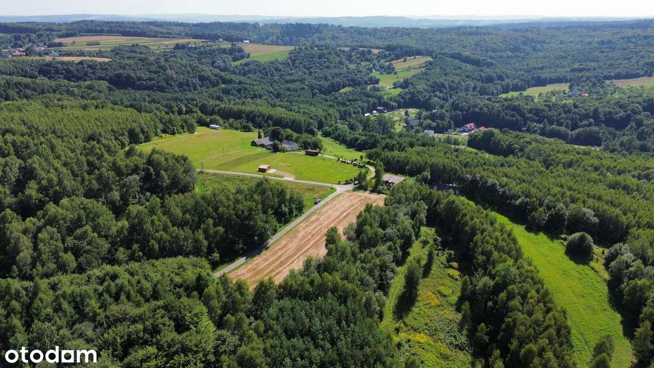 Działka inwestycyjna, WZ na 3 domy, media, 20 min od centrum Rzeszowa - Pełny obrazek: 4/7