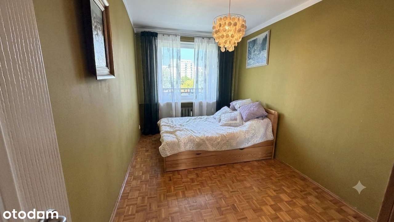 Tu się genialnie mieszka wszystko co potrzebne do życia w zasięgu ręki-4