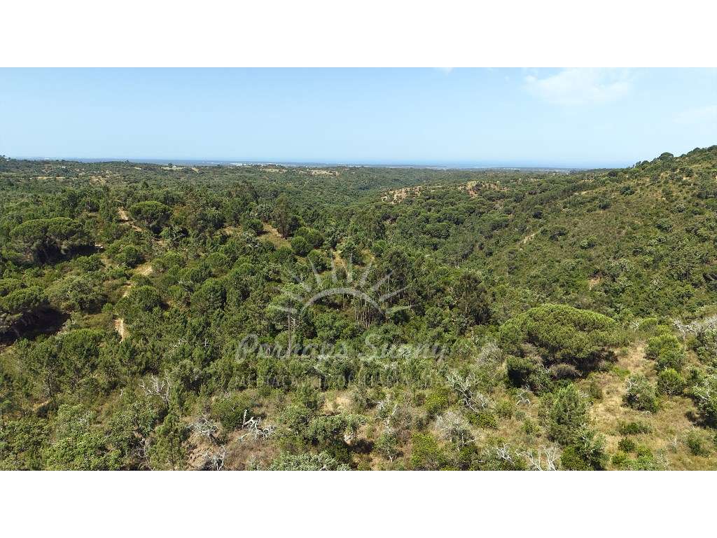 Terreno Misto - São Francisco da Serra - Melides-22