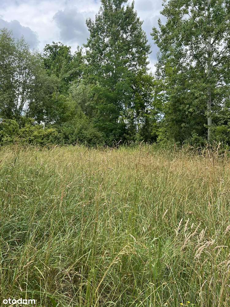 Sprzedam działkę Adamówek - Pełny obrazek: 2/3