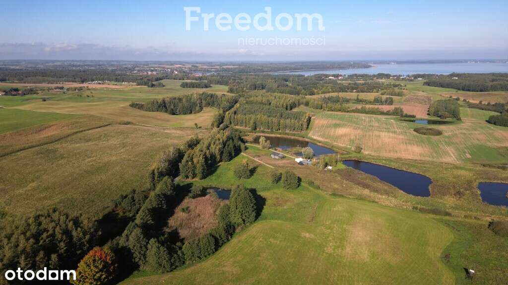 Działka z własnym stawem na Mazurach - 3769 m² - Pełny obrazek: 5/17