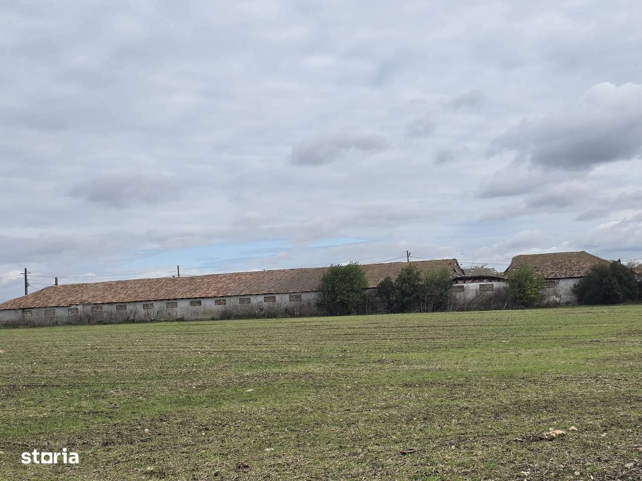 Comuna Amzacea- sat G.Scărișoreanu -Fermă zootehnică ,  teren 5,1ha - Imagine principală: 1/14