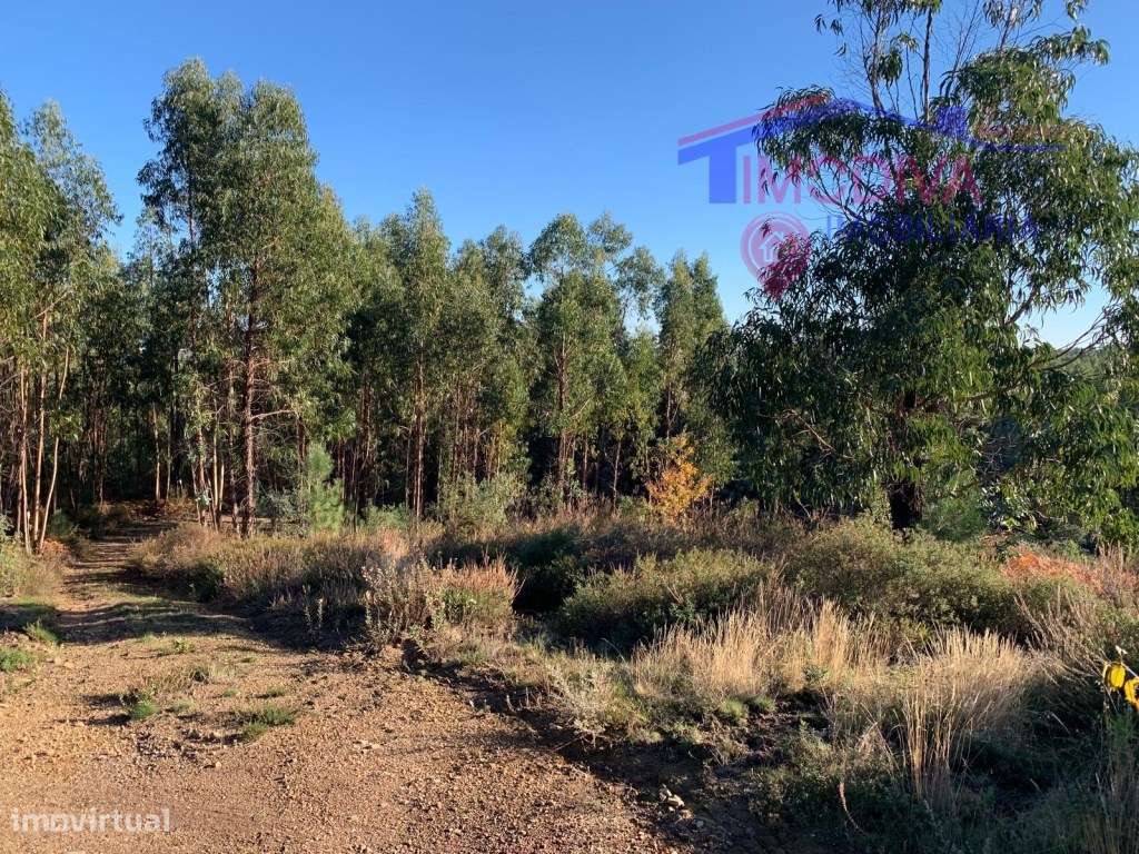 Terreno rústico em Vila Facaia-5