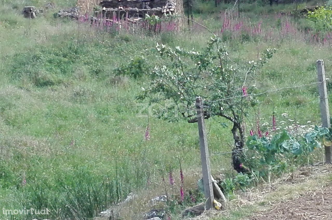 Terreno no Troviscal, Sertã