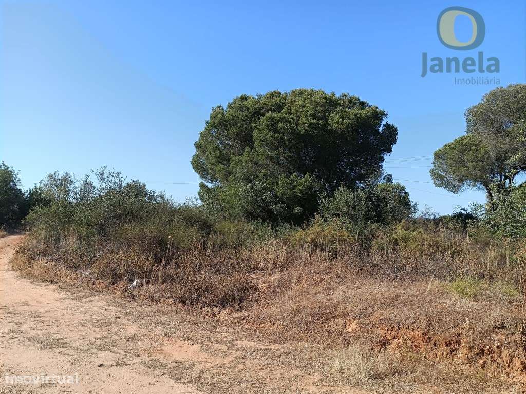 Terreno rústico com bom acesso, perto de Quarteira - Grande imagem: 3/4
