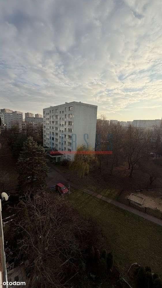 Umowa Na Wyłączność !!!-15