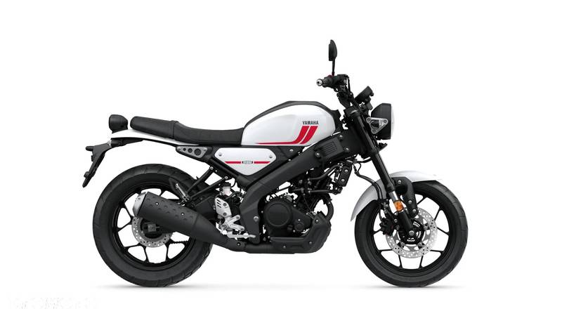 Yamaha XSR - 8