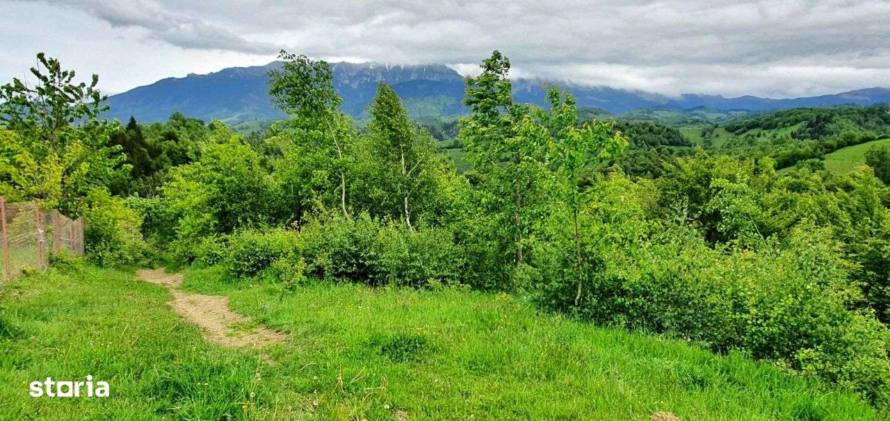 Teren casa de vacanta , Pestera , Brasov-3