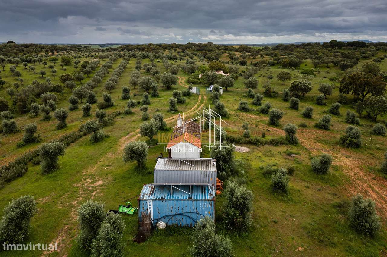 MONTINHO DO CHIADO - MALARRANHA - PAVIA-59