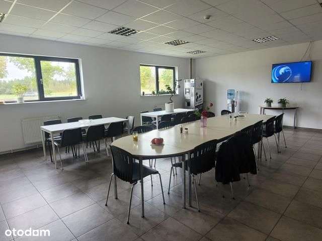 Magazyn i produkcja -19700 m2,wynajem,różne moduły - Pełny obrazek: 5/8