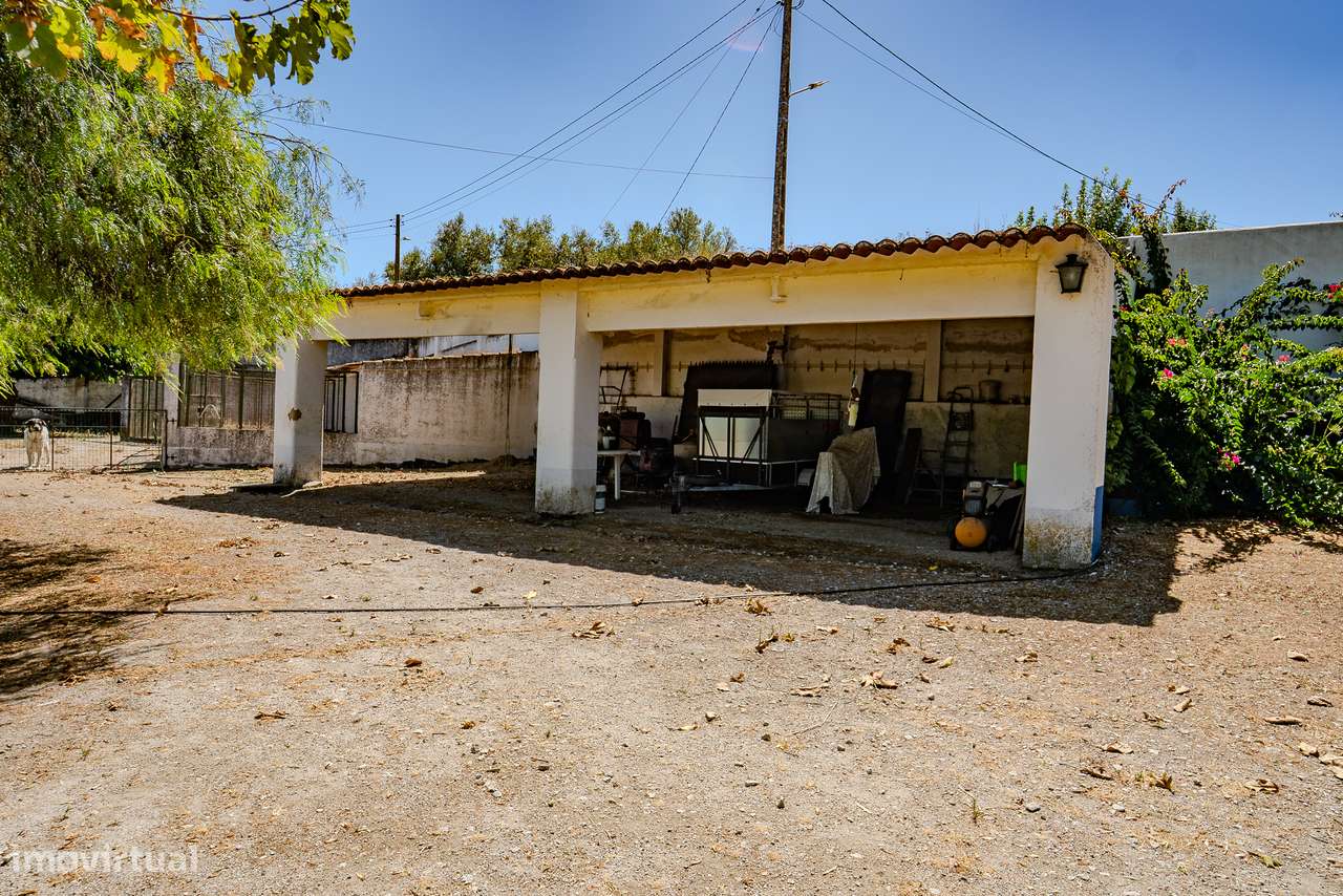 QUINTA 15 HA | VENDA | ÉVORA – ALENTEJO-12