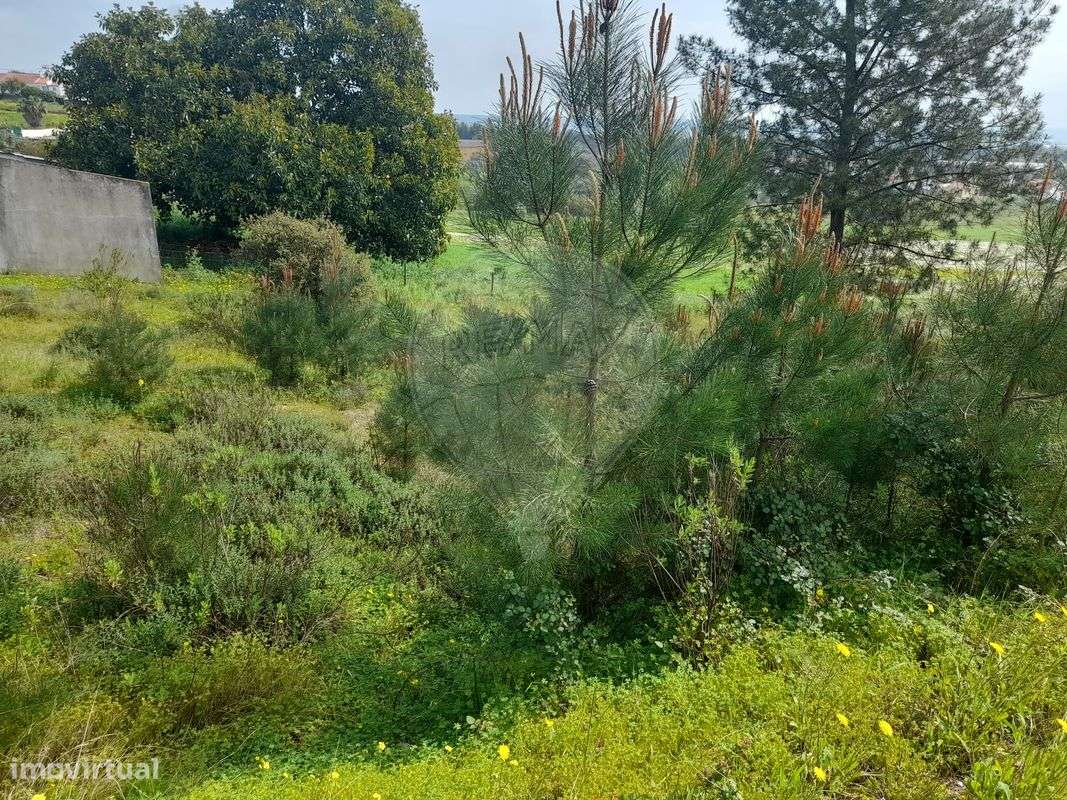 Terreno  para venda - Grande imagem: 3/4