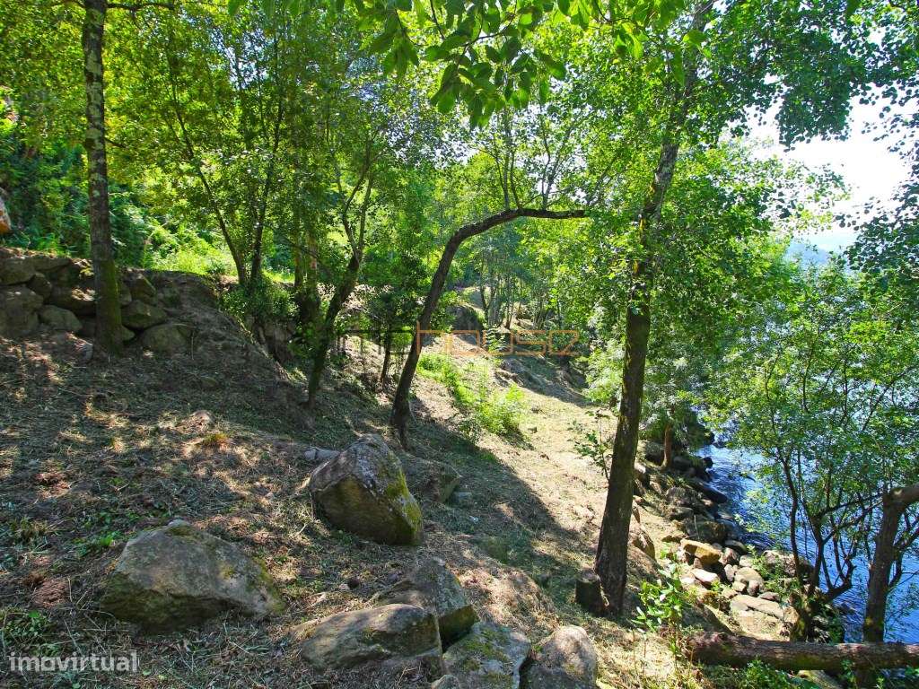 Quinta com frente de Rio Douro-35