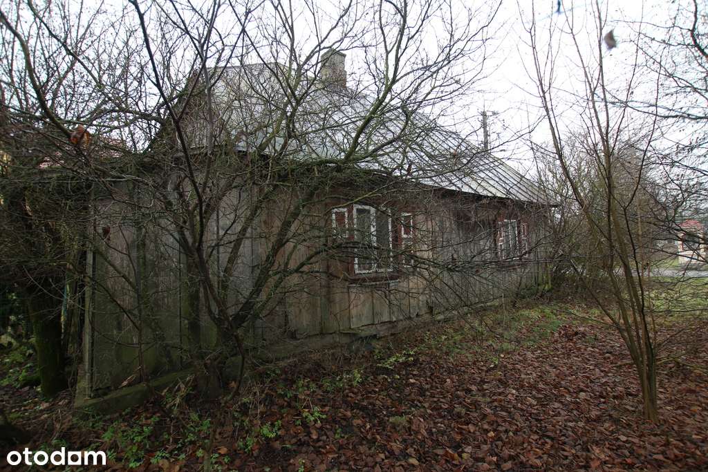 Działka rolno budowlana  1,1 ha Wola Mieczysławska-6