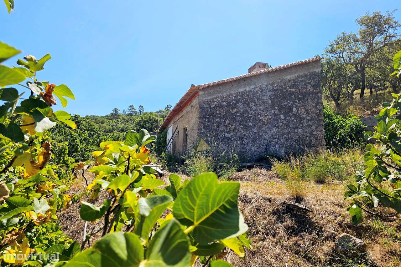 Terreno  com Casa Típica e projeto aprovado ( 2 V2 + 3 V1 ) - Grande imagem: 5/39