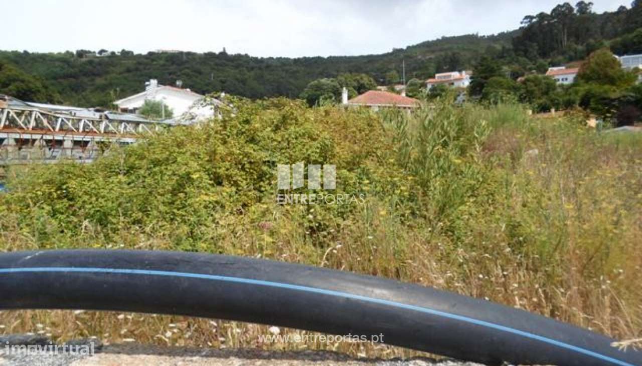 Lote Cristelo - Grande imagem: 1/1