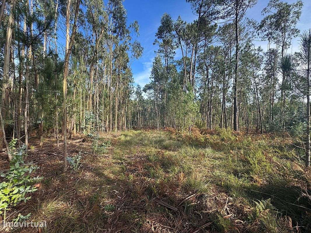 Terreno  para venda - Grande imagem: 4/10