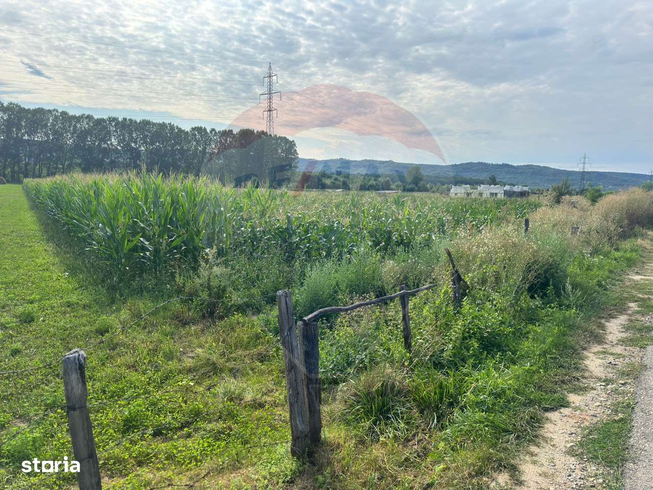 Teren de vânzare – Valea Bradului, oportunitate de investiție! - Imagine principală: 5/6