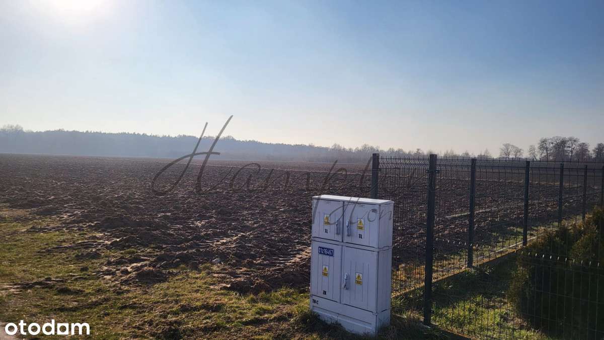 działka 4000m2, Kromnów, Wisła, Kampinos - Pełny obrazek: 5/11