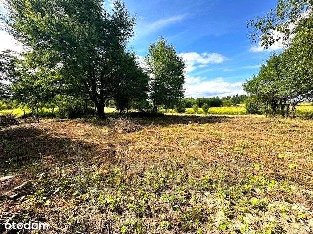 Działka budowlano-rolna niedaleko Kazimierza-4