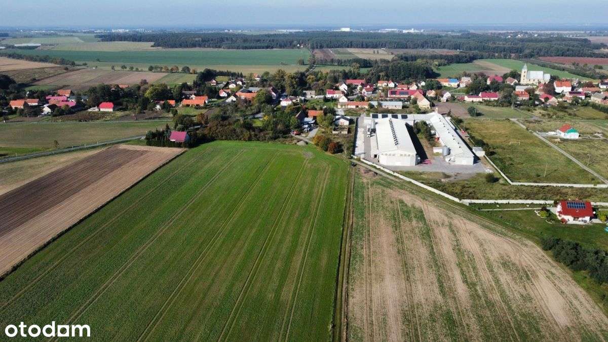 Działka Mn/u ➤ 1,2400ha ➤ Kryniczno - Pełny obrazek: 4/8