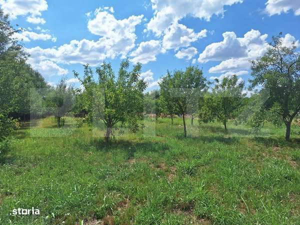 Casa cu teren intravilan, 4600 mp, investiitii/dezvoltare! - Imagine principală: 5/7