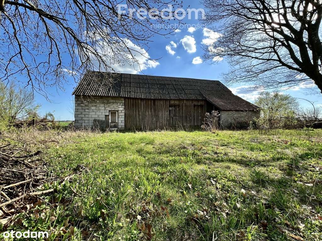 Dom z zabudowaniami i dużą działką – Bichniów - Pełny obrazek: 5/14