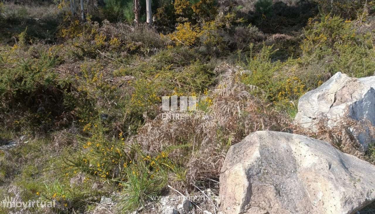 Venda Terreno, Abragão Penafiel - Grande imagem: 5/11