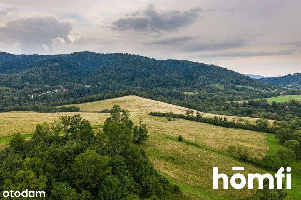 Zakochasz Się! Działka z widokiem na Połoniny 84ha - Pełny obrazek: 5/12