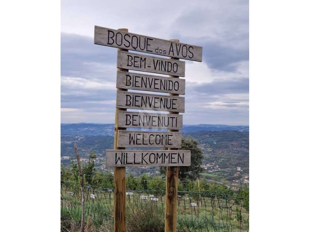 Moradia Individual T3 para venda em Amarante-21