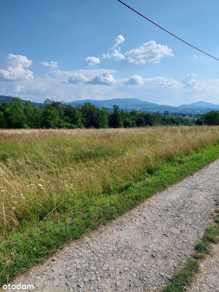 polska Toskania - Pełny obrazek: 4/4