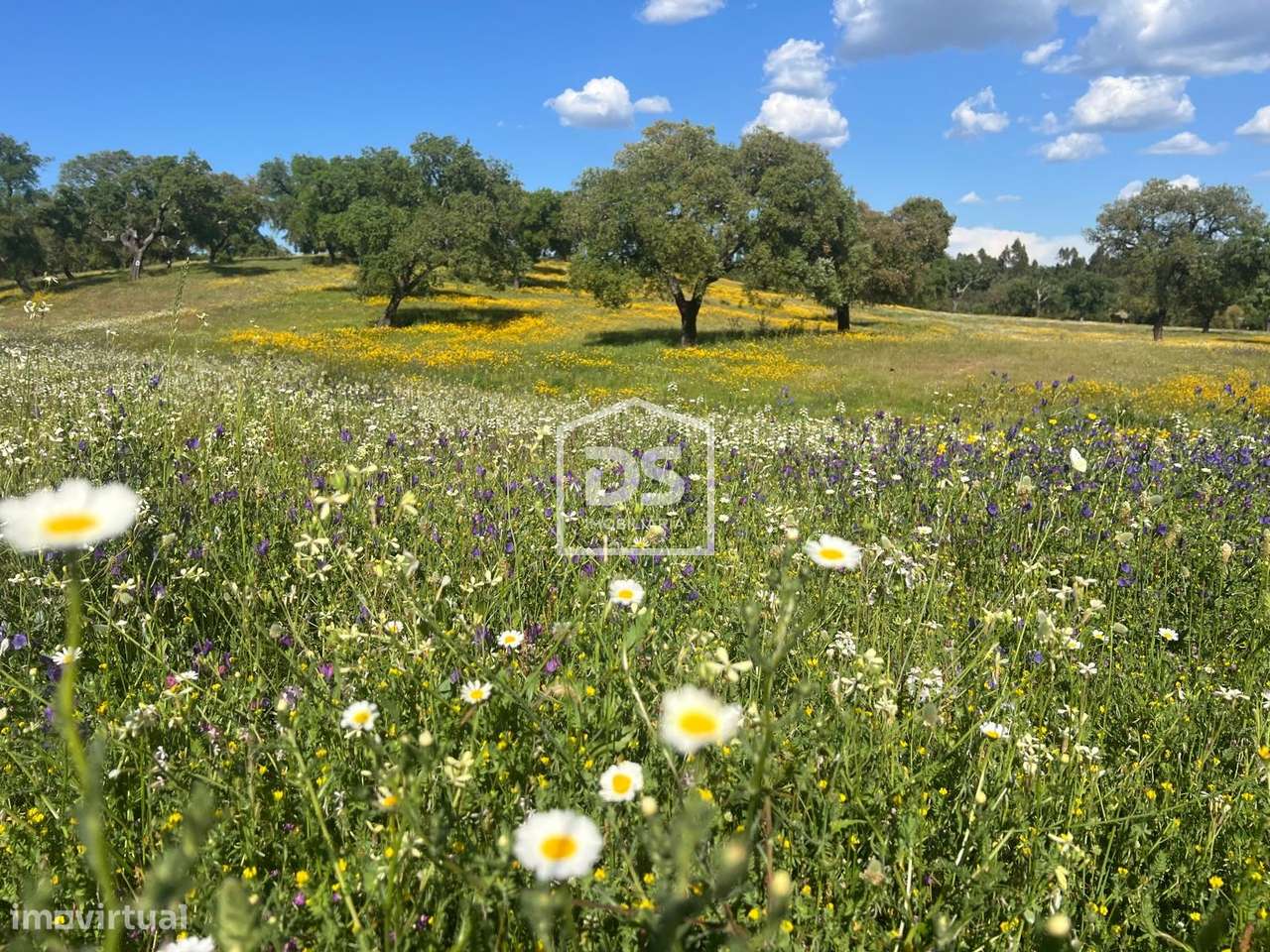 Herdade  Venda em Raposa,Almeirim-5