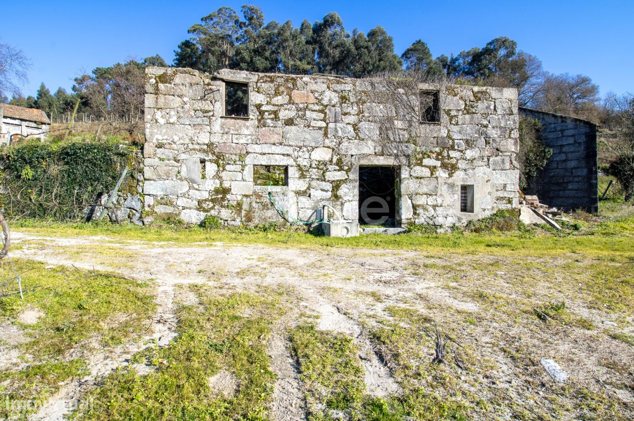 Quinta de Cimo de Vila, em Vila Verde, Felgueiras, c/ vinha em 4,6h