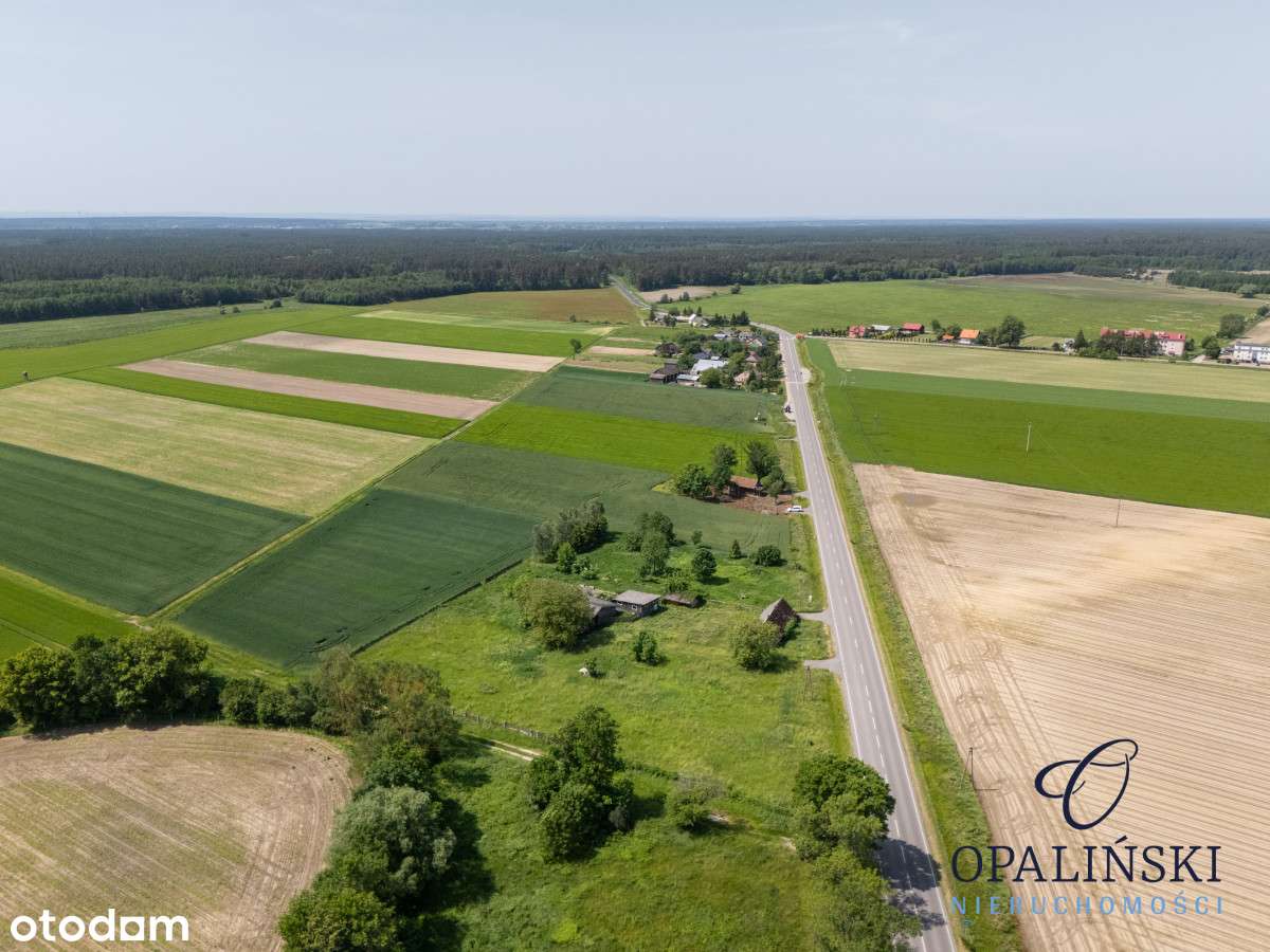 Działka budowlana 63 ar | uzbrojona | z budynkami - Pełny obrazek: 5/15