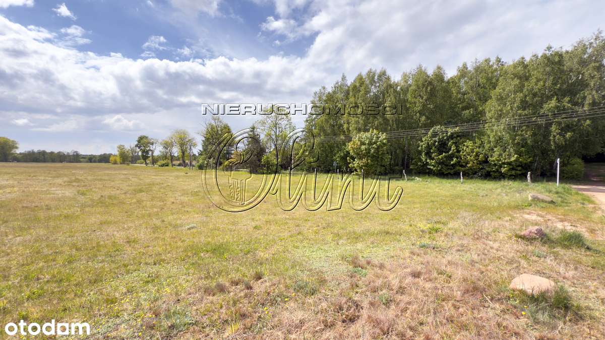 Działki blisko Łeby - Pełny obrazek: 2/6