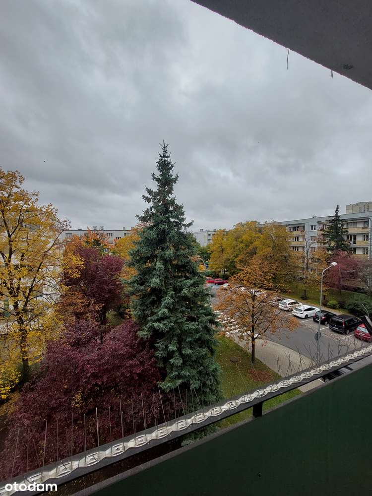 Os. Jagiellońskie 3 pokoje niezależny układ, IIIp. loggia, lokalizacja-9