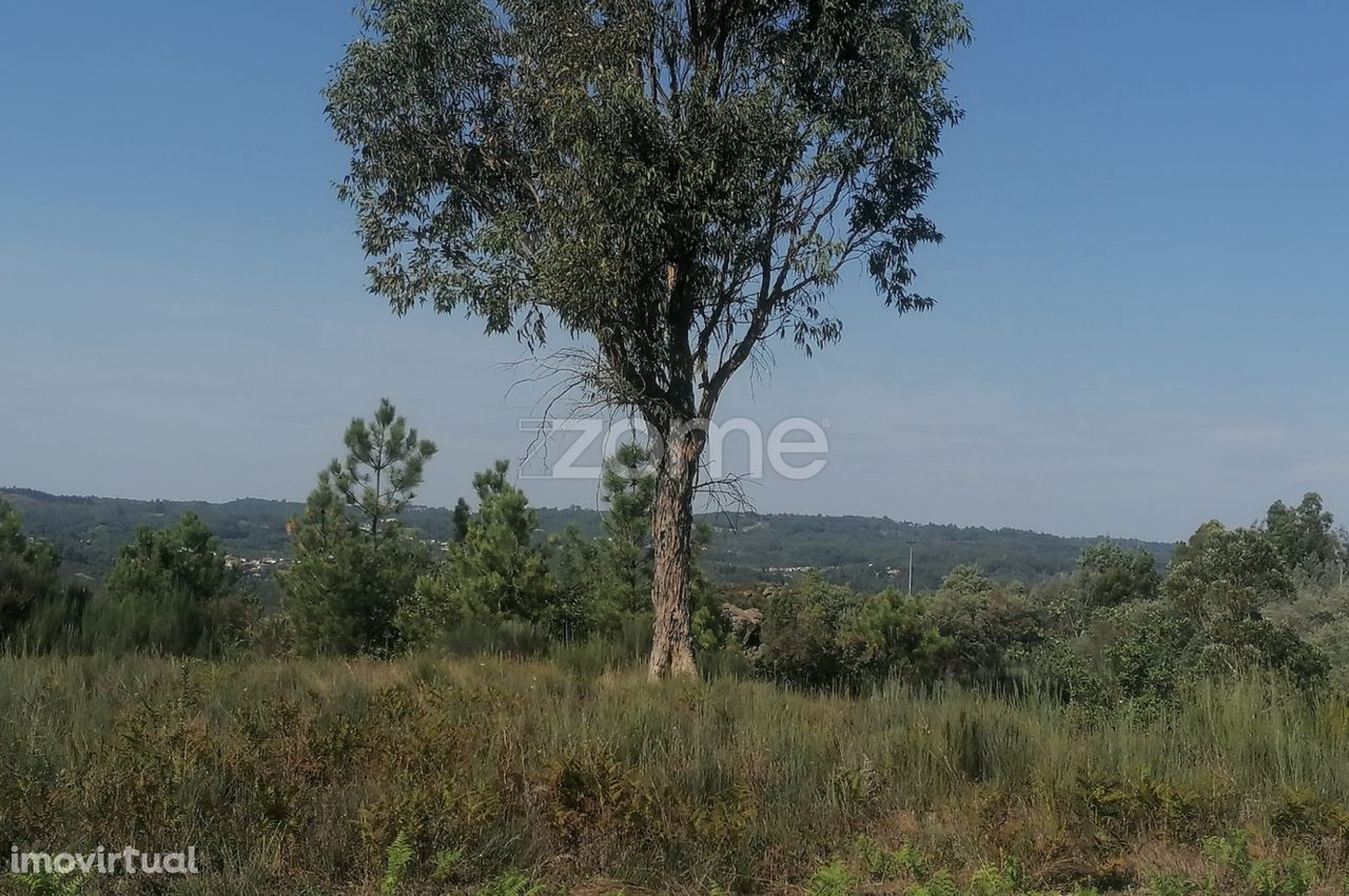 Terreno para venda em Viseu