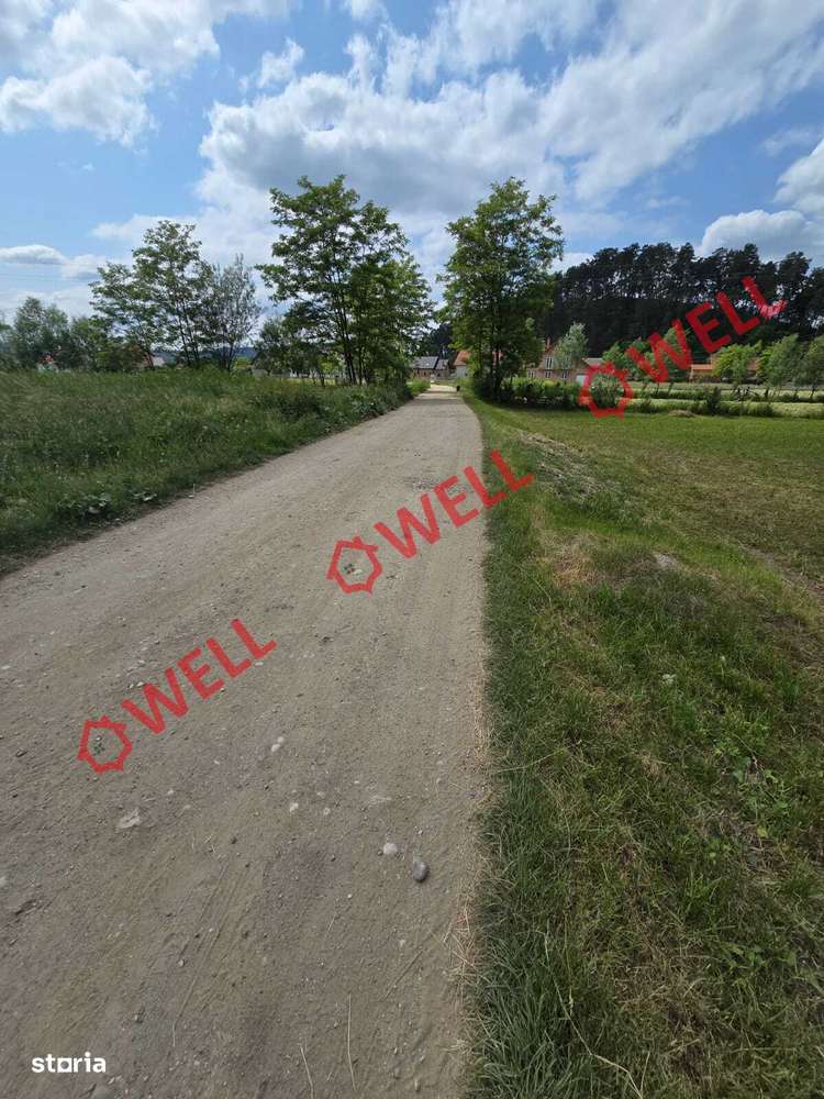 De vânzare teren partial intravilan în Întorsura Buzăului - Imagine principală: 4/4