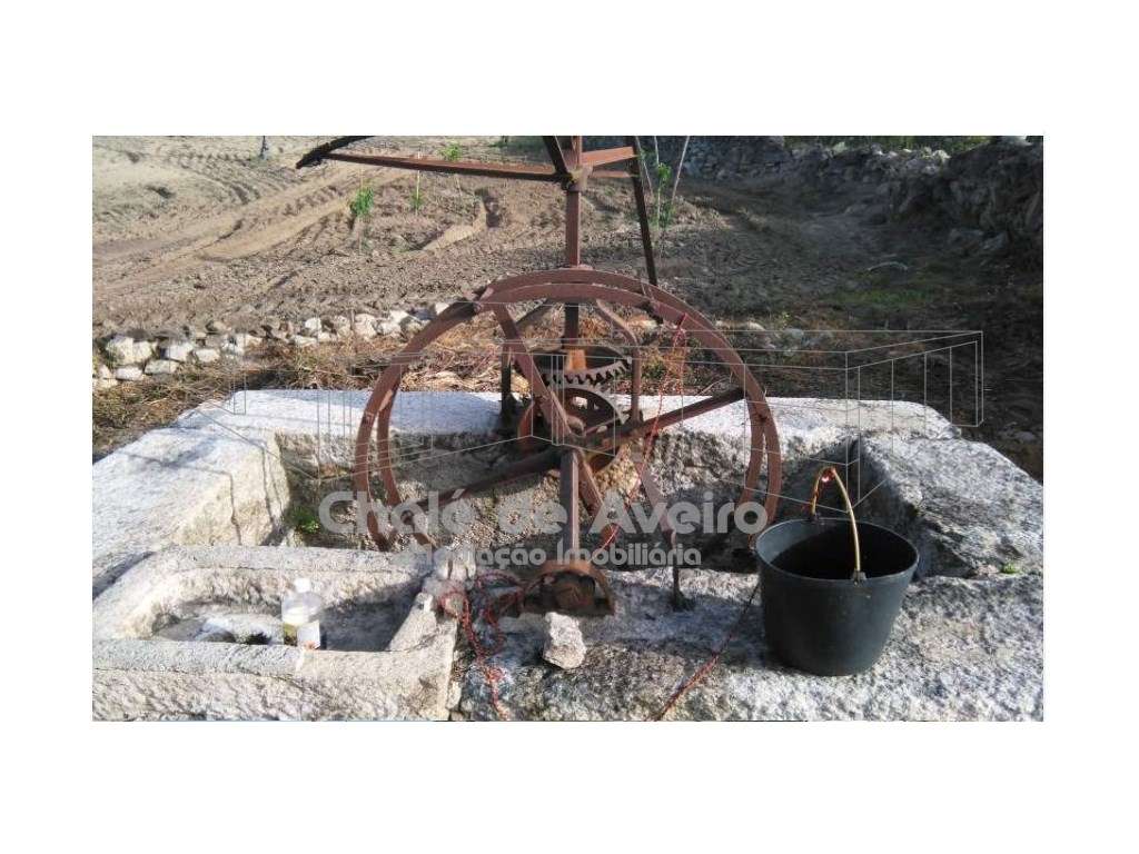 Herdade em Portalegre Com 200 Oliveiras (Nisa) - Grande imagem: 4/15