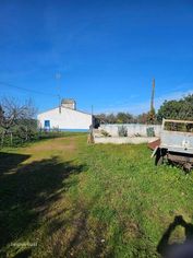 Quinta de 20 hectares em Campo Maior com Olival - Grande imagem: 3/12