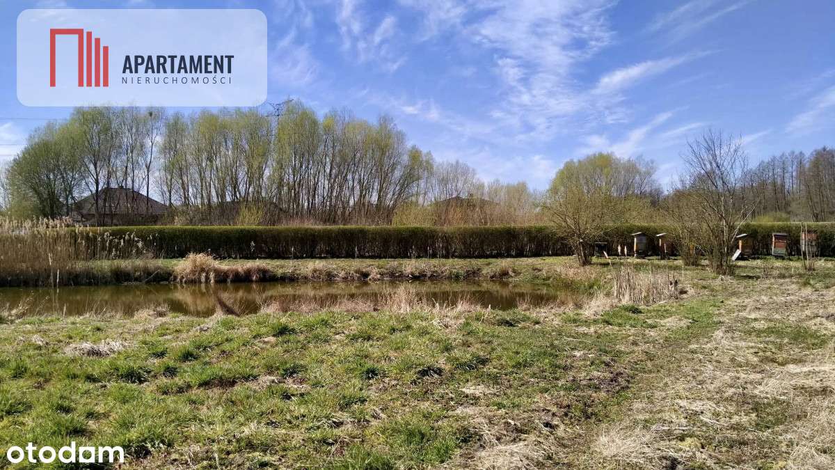 Piękna działka ze stawem - Pełny obrazek: 4/4